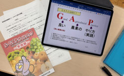 GAPって何？スキマ？いえ、農業の“いいやり方”です！