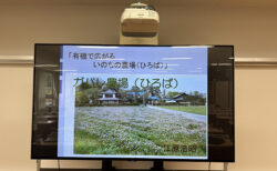 都会のど真ん中に“いのちのひろば”？
