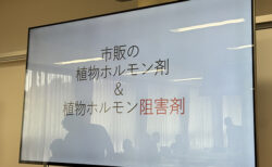 植物だってストレス社会!? 〜環境ストレスとその知恵を学ぶ〜