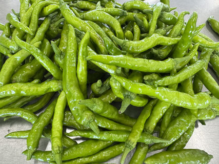 畑に広がる、ゆるやかな秋の気配