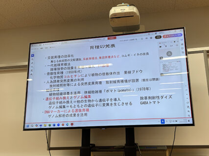 トマトとジャガイモが合体!? ― 育種の発展がつなぐ人と暮らし