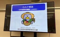 「GAP概論」〜S-GAPのしくみを知る〜