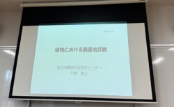 ビーツと夜盗虫、そして国産なたね油