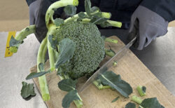 畑で感じた“距離”のこと