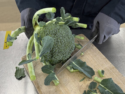 畑で感じた“距離”のこと