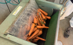 ドリフェス前日、ニンジン洗機が大活躍！