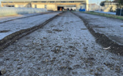 霜朝スタート、二千本を植え切って一息