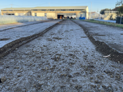 霜朝スタート、二千本を植え切って一息