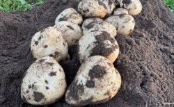 試掘以上のデジマが続々！“にっこり締め”の水曜日