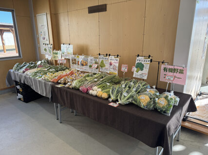 販売実習の日。ブロッコリー激戦区を制した有機専攻の午後