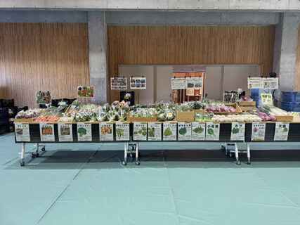 彩りの学園祭、彩農祭！未来へつなぐ学生の一歩
