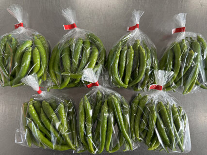 朝露しみる収穫と、午後はけん引で頭フル回転