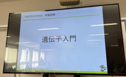 ピペット握って気づいた、育種の裏側