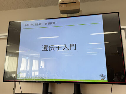 ピペット握って気づいた、育種の裏側