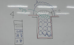 冬将軍の訪問と、サトイモの未来準備