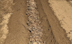 今年最後の実習と風の丘ファーム見学