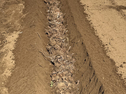 今年最後の実習と風の丘ファーム見学