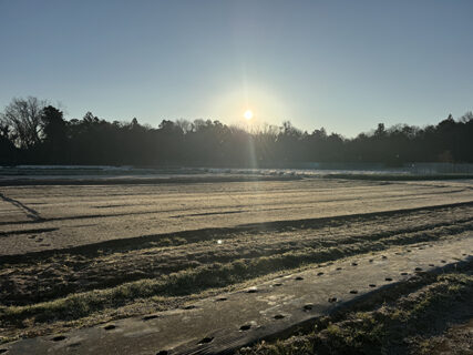 氷点下の朝、年内最後の当番と静かな締めくくり