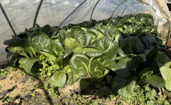 たすきをつなぐ当番業務。年始最初の一区間