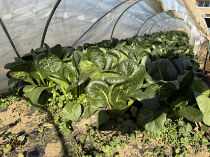 たすきをつなぐ当番業務。年始最初の一区間