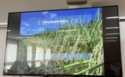 10年かけて生まれる一杯のごはん