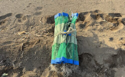 冬の畑、静かに見えてフル稼働。現場は今日もギアアップ