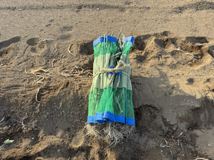 冬の畑、静かに見えてフル稼働。現場は今日もギアアップ