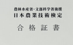 朝イチ吉報、疲労が相殺された当番日