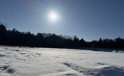 雪解け待ちの一日、できることを確実に