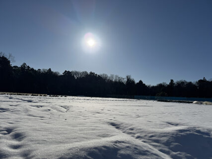 雪解け待ちの一日、できることを確実に