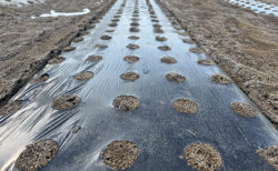 発表会を前に、全体リハーサルと現場作業