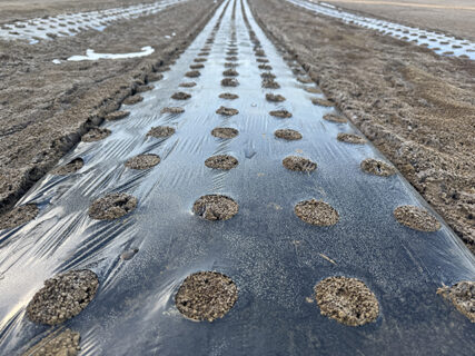 発表会を前に、全体リハーサルと現場作業