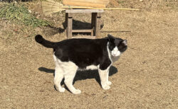 栃木から群馬へ、有機経営を学ぶ一日