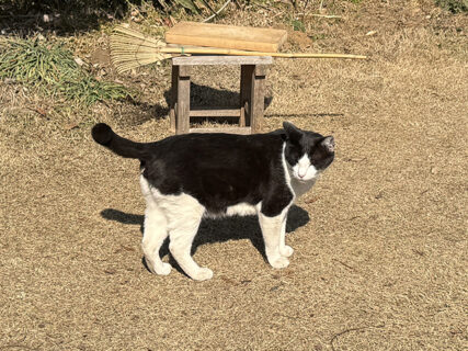 栃木から群馬へ、有機経営を学ぶ一日