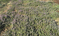 最後の土曜当番、静かな攻防