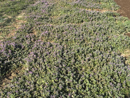 最後の土曜当番、静かな攻防