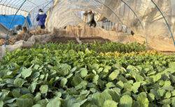 実習最終日、畑と機械に感謝