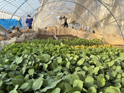 実習最終日、畑と機械に感謝