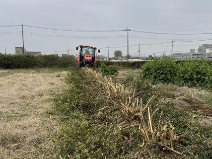 整備スタート、境木25mを一掃