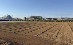 畑に線を引く日、まるてんFarm始動
