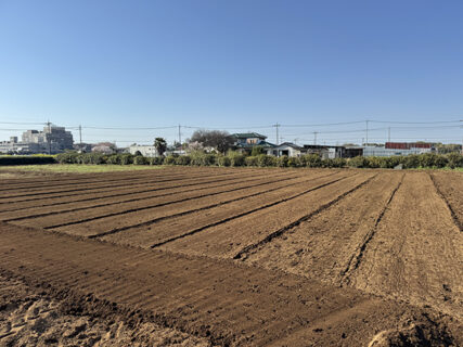 畑に線を引く日、まるてんFarm始動
