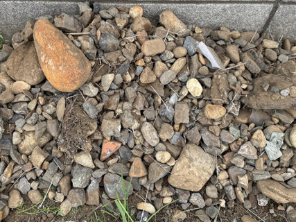 小さな一手、畑づくりのはじまり