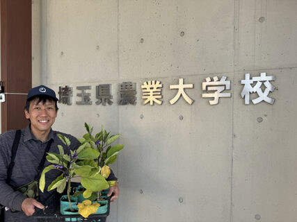 接ぎ木ナス苗を受け取りに、農大へ行ってきました