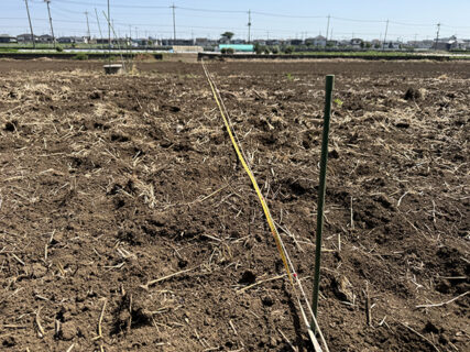 通り芯を出して、畑の骨格づくりの日