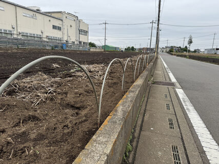アーチ支柱設置、道路沿いの整備作業