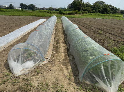 農業を支える「住まい」と「仲間」の大切さ