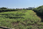 秋冬野菜へ向けた土づくりの一歩