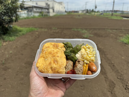お弁当で元気をチャージ、タマネギ地床の太陽熱消毒マルチ張り