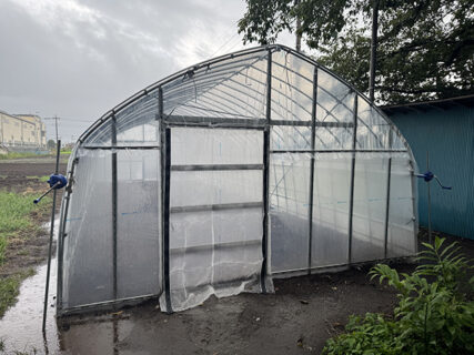 雨の合間に、育苗ハウスの改修完了