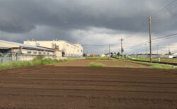 収穫から出荷、そして次の作付け準備